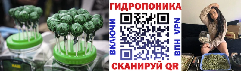 купить наркотики сайты  MEGA как зайти  Cannafood конопля  Осинники 