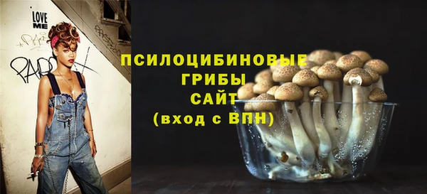 меф Алексин