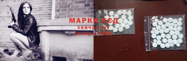 прущий лед Алзамай