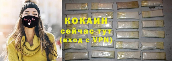 прущий лед Алзамай