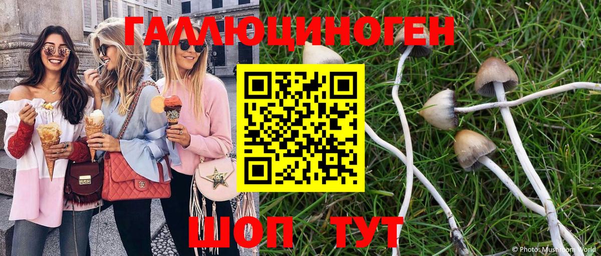 Осинники  Псилоцибиновые грибы прущие грибы  Вход с VPN 