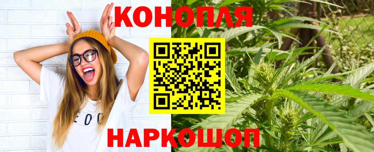 Шишки марихуана гибрид  Шишки марихуана MAZAR  Осинники  Бошки марихуана планчик  Вход с VPN 